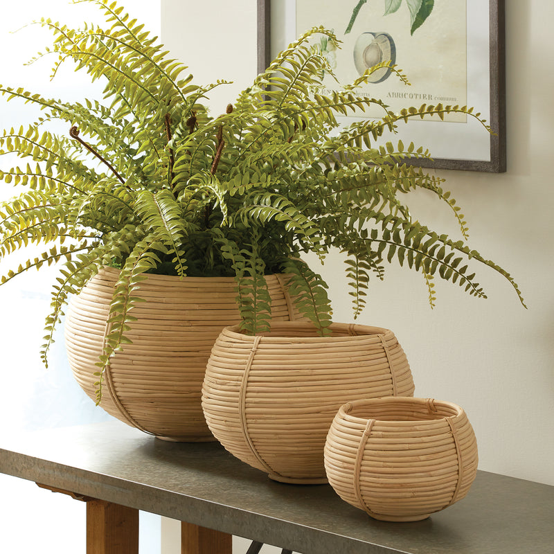 NAPA Home & Garden, CANE RATTAN PLANT BASKETS, SET OF 3,N2DB04