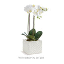 NAPA Home & Garden, Chinoiserie and Lola Cachepot Collection