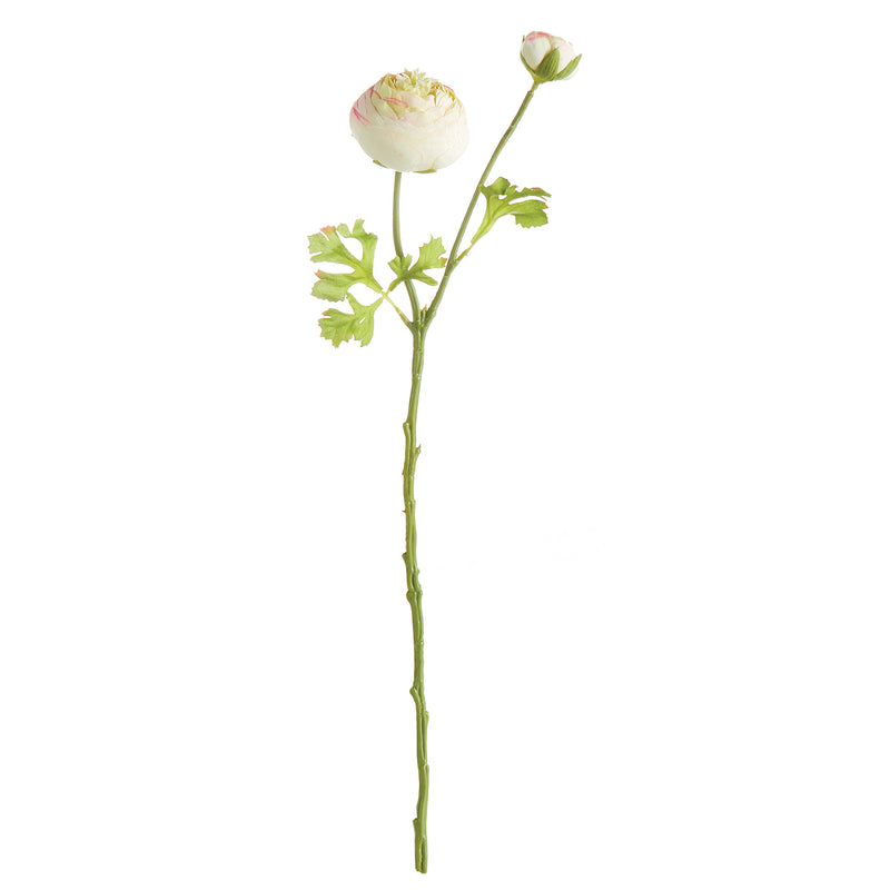 NAPA Home & Garden, RANUNCULUS STEM 21",N2GP08CR