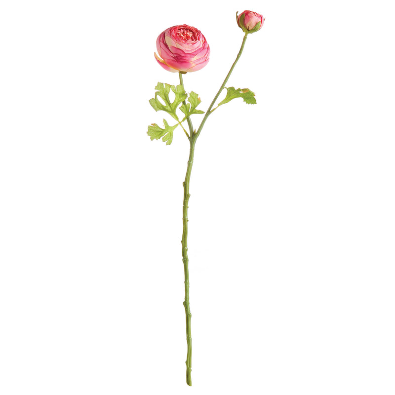 NAPA Home & Garden, RANUNCULUS STEM 21",N2GP08PK