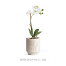 NAPA Home & Garden, EVA Collection