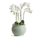 NAPA Home & Garden, GRAFFIO GRANDE CACHEPOT,N2MP06BLL