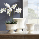 NAPA Home & Garden, COLETTA DECORATIVE FOOTED BOWL,N2MP20WH