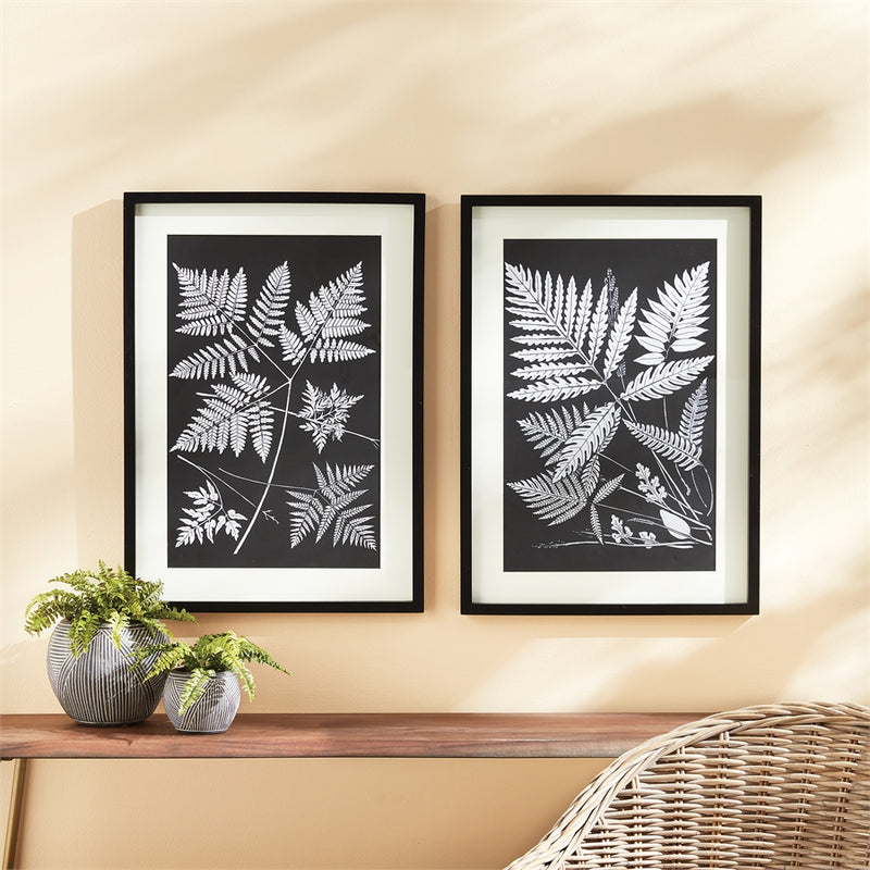 Napa Home Garden, ASSORTED FERN STUDY ,SET OF 2,n2nh04