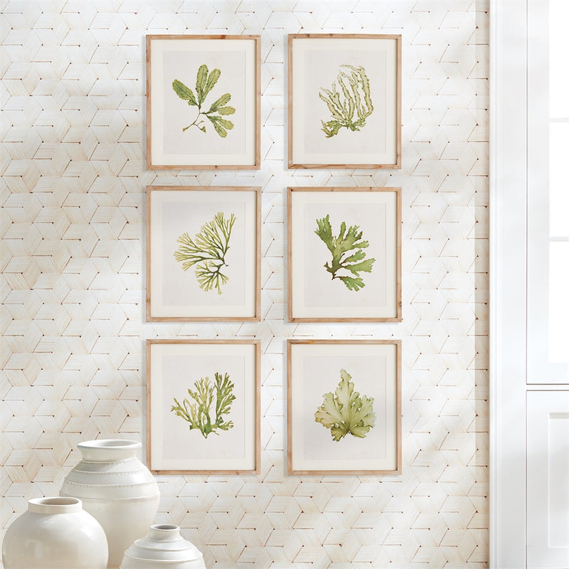 Napa Home Garden, KELP PRINTS ,SET OF 6,n2nh09