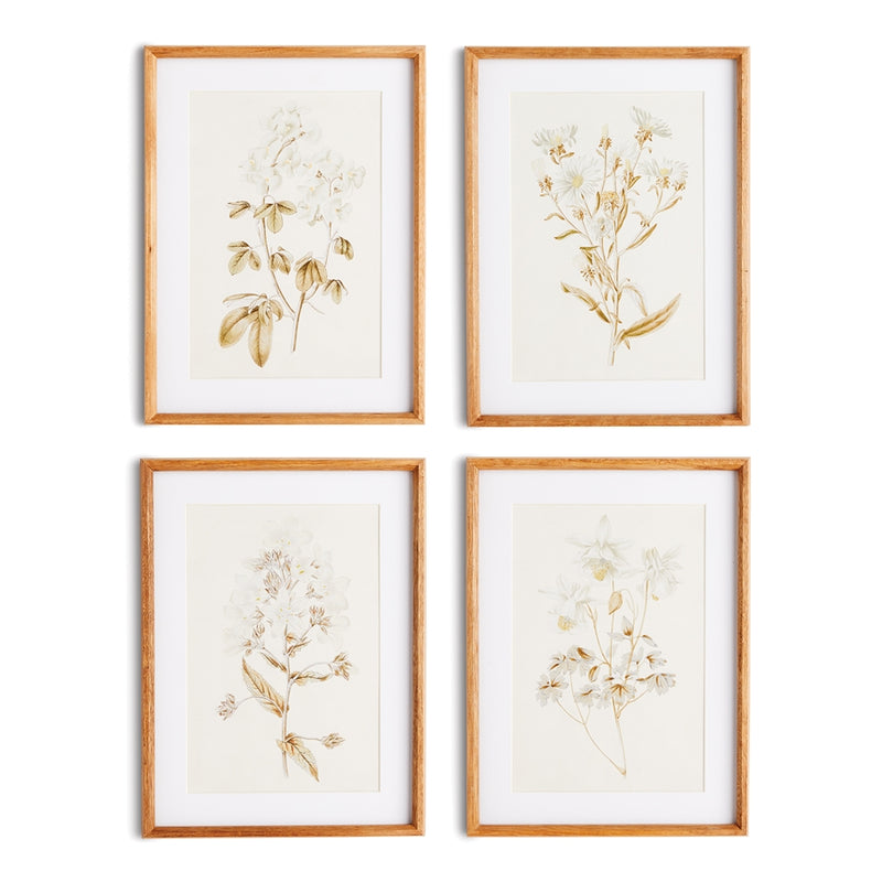 Napa Home Garden, FLEUR DE BLANC PRINTS ,SET OF 4,n2nh11