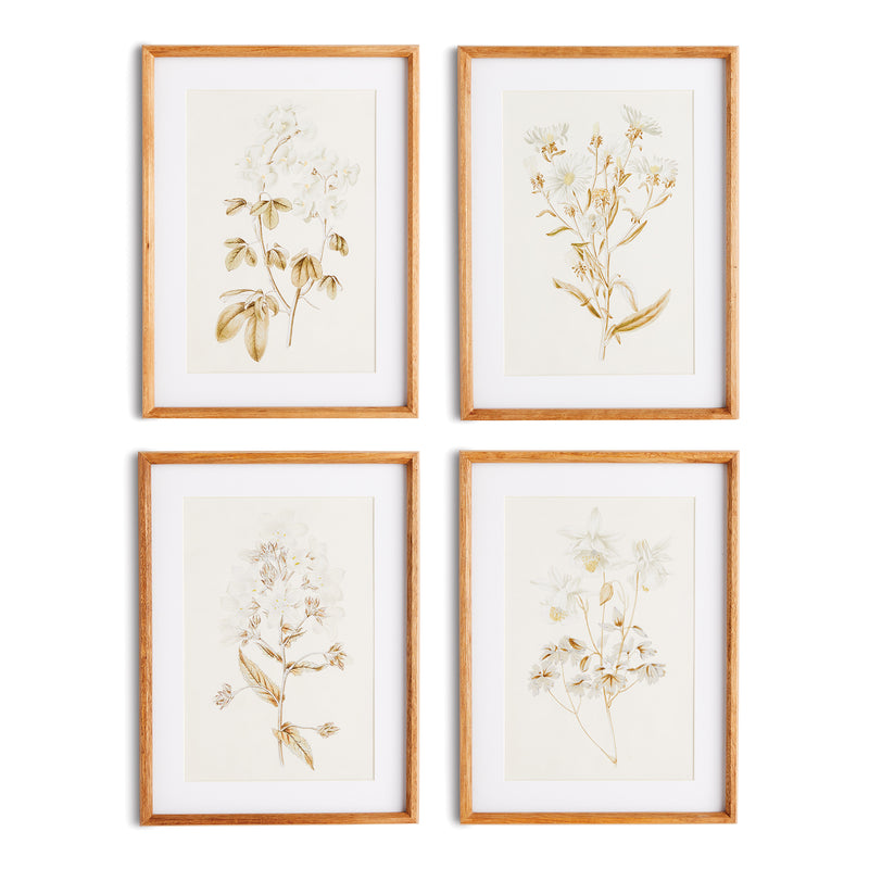 NAPA Home & Garden, FLEUR DE BLANC PRINTS, SET OF 4,N2NH11