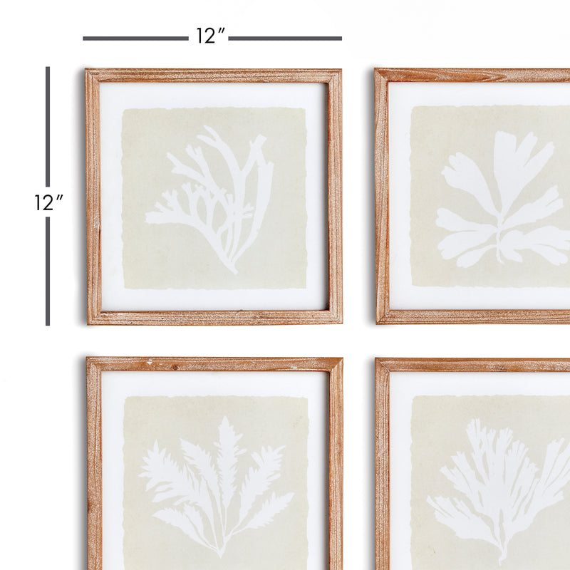 NAPA Home & Garden, SEAWEED PETITE PRINTS, SET OF 4,N2NH12