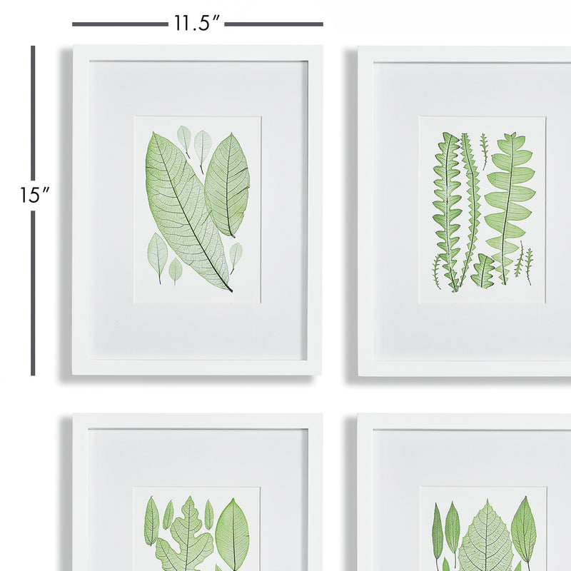 NAPA Home & Garden, ASSORTED LEAF PRINTS, SET OF 4,N2NH14