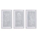 NAPA Home & Garden, SKETCHED BOTANICAL PRINTS, SET OF 3,N2NH18