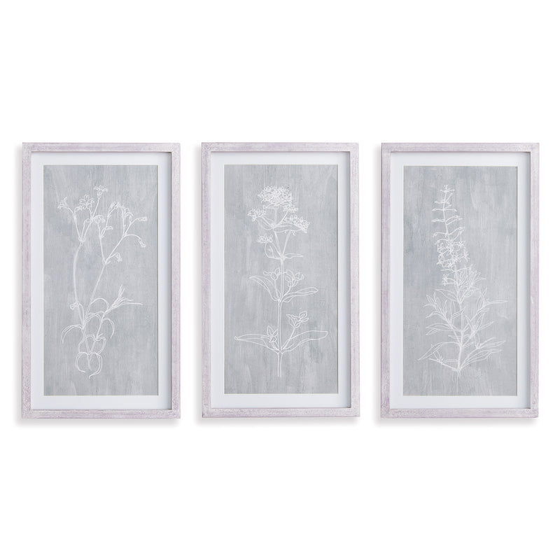 NAPA Home & Garden, SKETCHED BOTANICAL PRINTS, SET OF 3,N2NH18