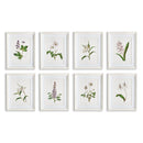 NAPA Home & Garden, FLOWERS IN BLOOM PETITE PRINTS, SET OF 8,N2NH22