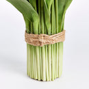 NAPA Home & Garden, Peony Tulip Drop-In Bundle