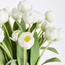 NAPA Home & Garden, Peony Tulip Drop-In Bundle