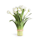 NAPA Home & Garden, Peony Tulip Drop-In Bundle