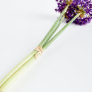 NAPA Home & Garden, Allium Stems, Bundle of 3