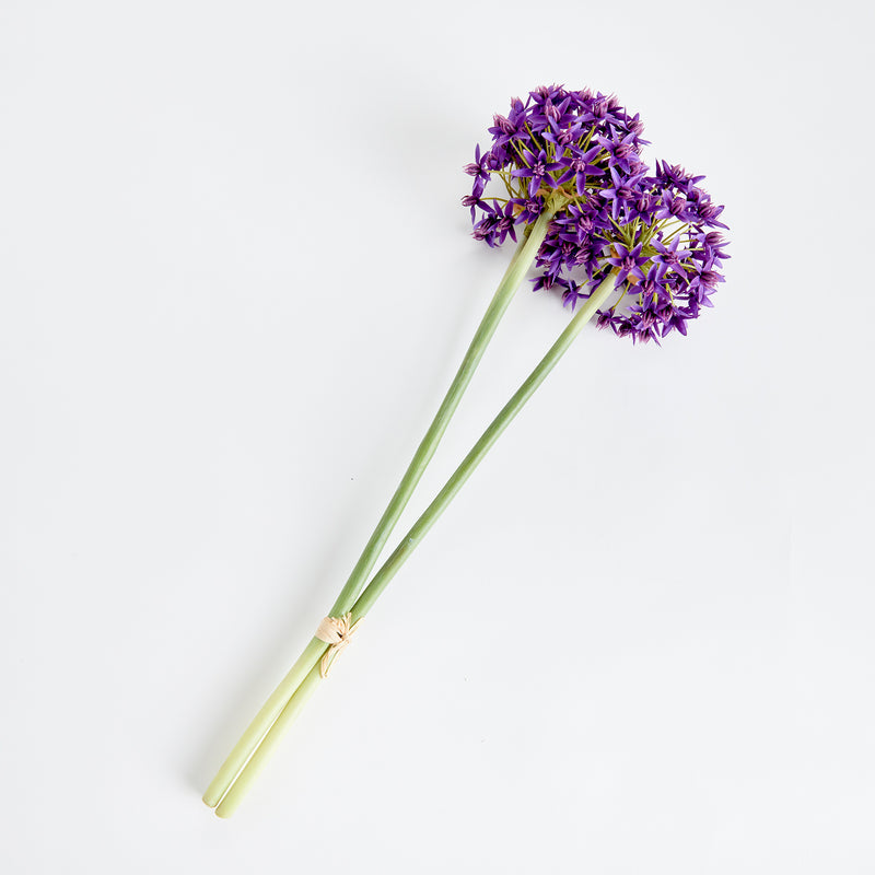 NAPA Home & Garden, ALLIUM STEMS 19", BUNDLE OF 3,N3CC22PRD