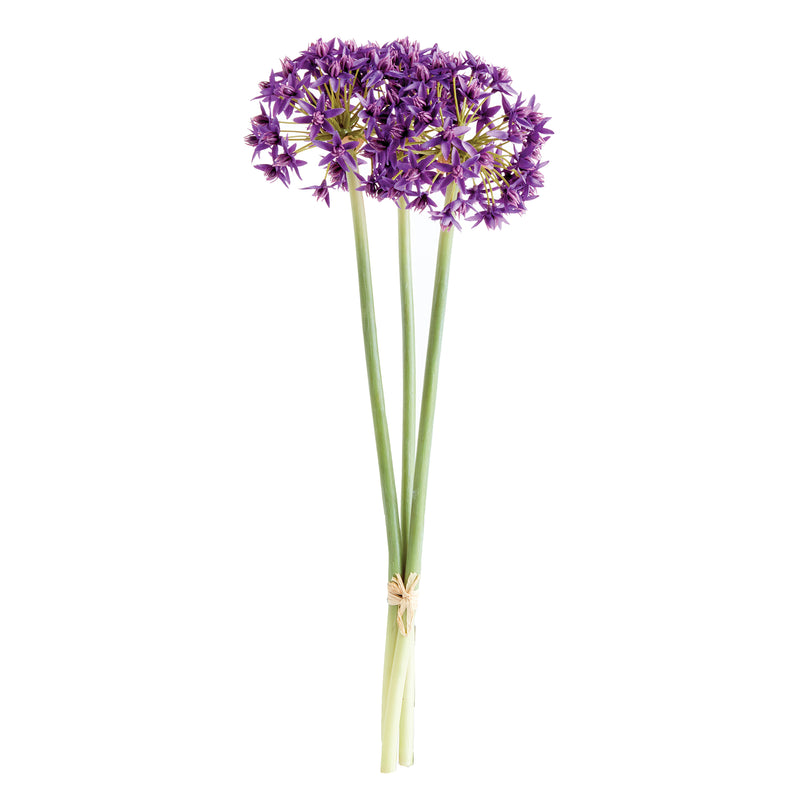 NAPA Home & Garden, ALLIUM STEMS 19", BUNDLE OF 3,N3CC22PRD