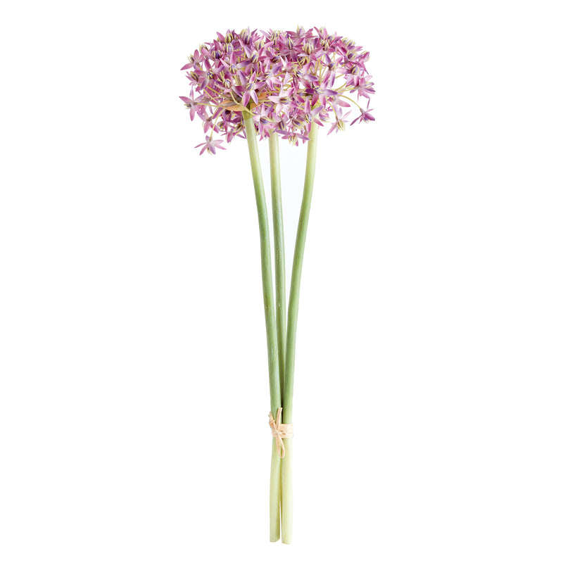 NAPA Home & Garden, ALLIUM STEMS 19", BUNDLE OF 3,N3CC22PRL