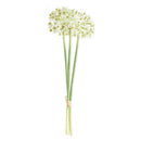 NAPA Home & Garden, Allium Stems, Bundle of 3