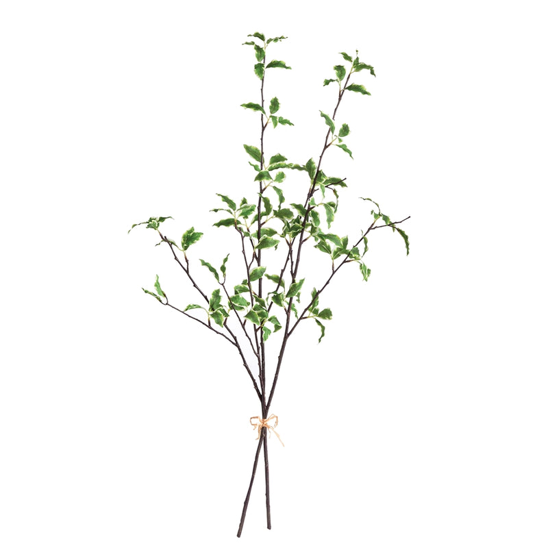 Napa Home Garden, VARIEGATED LEAF BRANCHES 32" BUNDLE/2,n3cc24