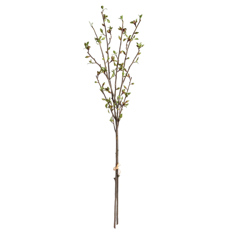 Napa Home Garden, BUDDING BRANCHES 42" BUNDLE/2,n3cc25