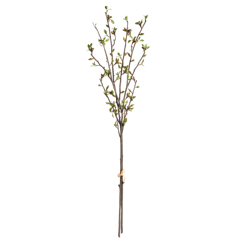 NAPA Home & Garden, BUDDING BRANCHES 42", BUNDLE OF 2,N3CC25