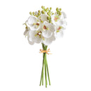 "NAPA Home & Garden, PHALAENOPSIS ORCHID DROP-IN COLLECTION"