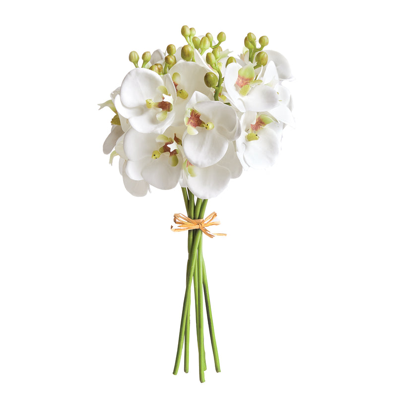 NAPA Home & Garden, PHALAENOPSIS ORCHID STEMS 11.5" BUNDLE, SET OF 6,N3CC30