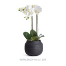 NAPA Home & Garden, GEENA CACHEPOT,N3DG15BK