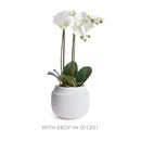 NAPA Home & Garden, GEENA CACHEPOT