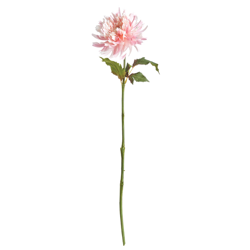 NAPA Home & Garden, CHRYSANTHEMUM STEM 30",N3GP09PKL