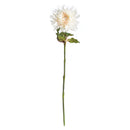 NAPA Home & Garden, CHRYSANTHEMUM STEM