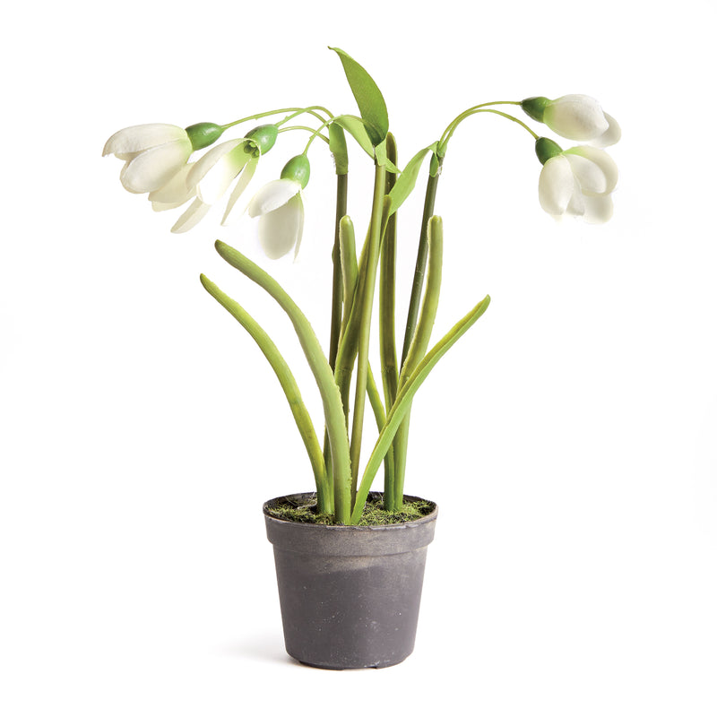 NAPA Home & Garden, SNOWDROP DROP-IN,N3GP10