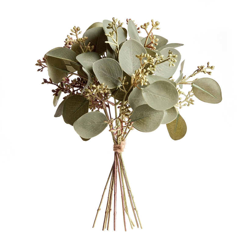 Napa Home Garden, SILVER DOLLAR EUCALYPTUS CUTTINGS BDL/12,n3gp13