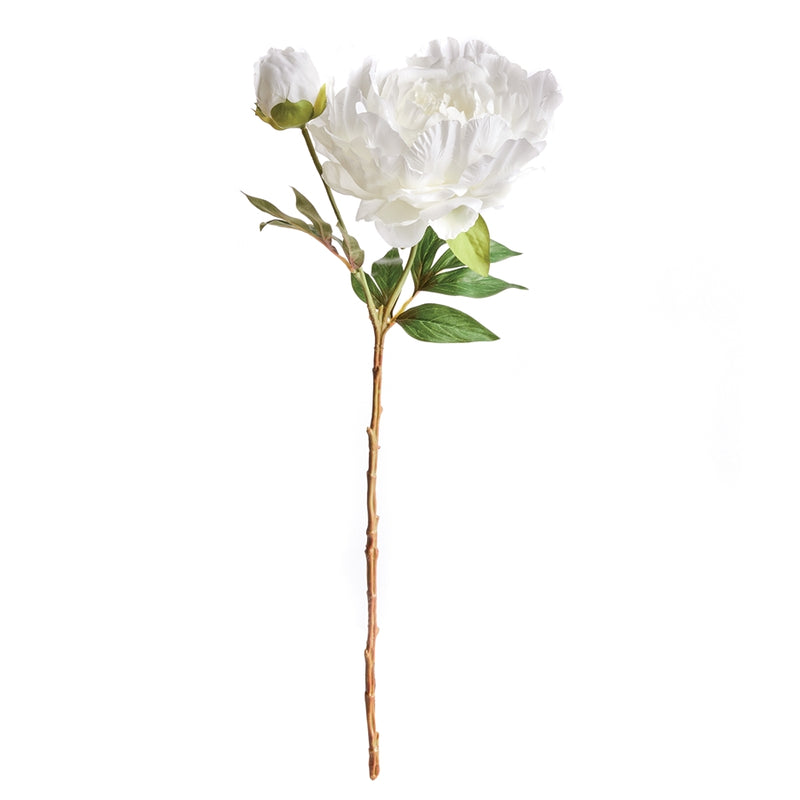 Napa Home Garden, PEONY STEM 21" CREAM,n3gp413cr