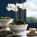 NAPA Home & Garden, COLETTA Decorative Footed Bowl