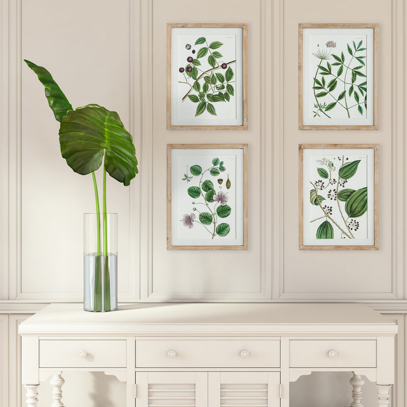 NAPA Home & Garden, VERDANT BRANCH PRINTS, SET OF 4,N3NH26