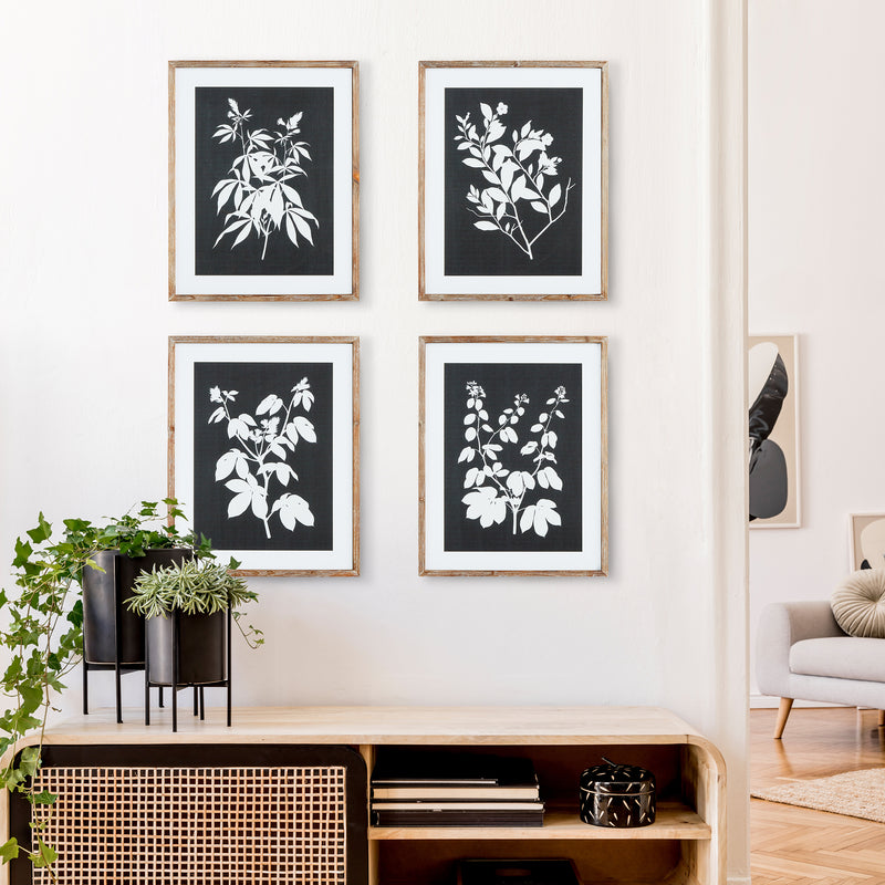 NAPA Home & Garden, MONOCHROME BOTANICAL PRINTS, SET OF 4,N3NH27