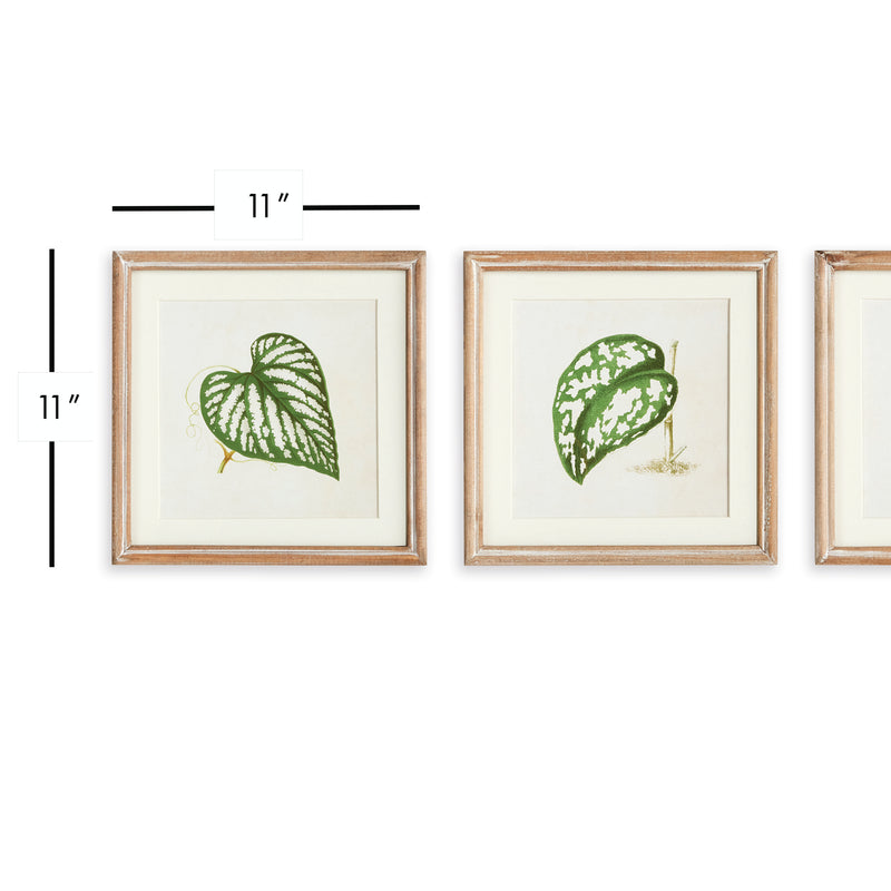 NAPA Home & Garden, LEAF CUTTINGS PETITE PRINTS, SET OF 3,N3NH28