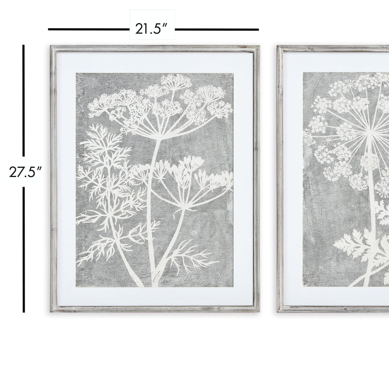 NAPA Home & Garden, BLOOMING QUEEN ANNE'S LACE PRINTS, SET OF 2,N3NH30