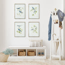 NAPA Home & Garden, BLUE BIRDS PRINTS, SET OF 4,N3NH35