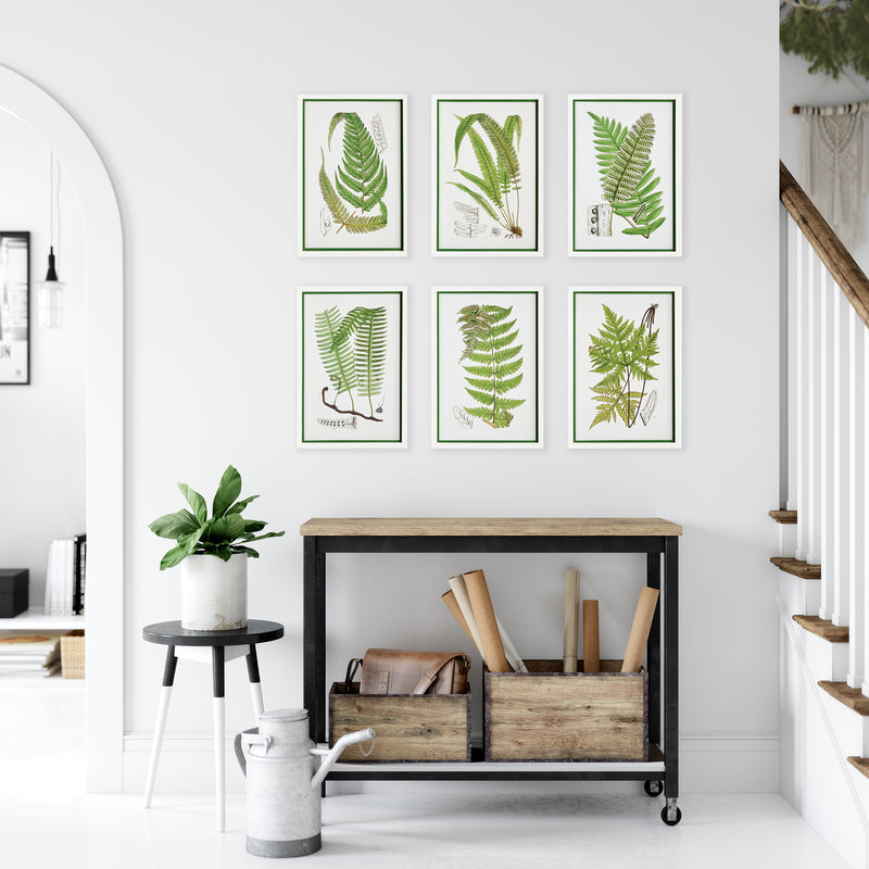 NAPA Home & Garden, LAYERED FERN PRINTS, SET OF 6,N3NH38