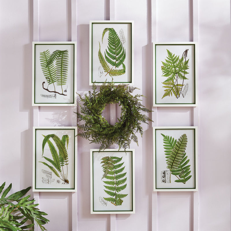 NAPA Home & Garden, LAYERED FERN PRINTS, SET OF 6,N3NH38