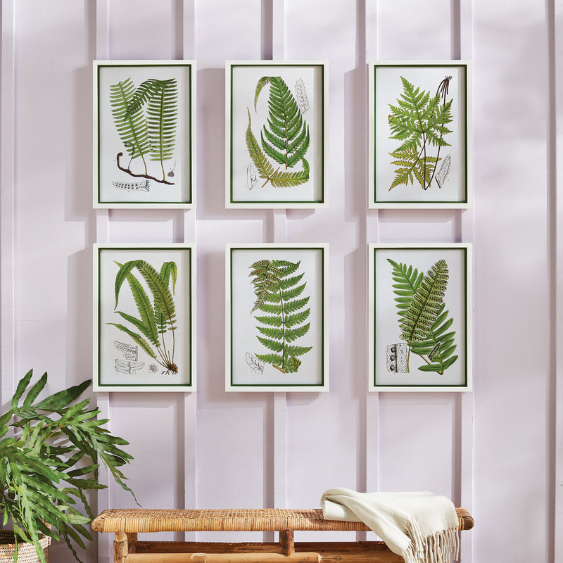 NAPA Home & Garden, LAYERED FERN PRINTS, SET OF 6,N3NH38