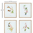 NAPA Home & Garden, PLAYFUL HUMMINGBIRD PRINTS, SET OF 4,N3NH40