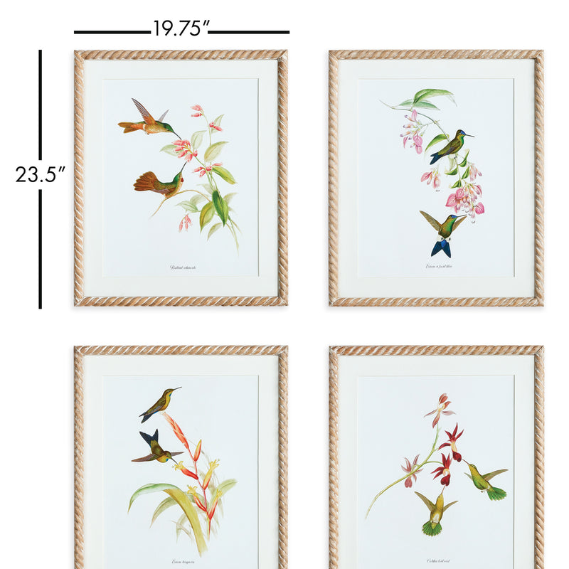 NAPA Home & Garden, PLAYFUL HUMMINGBIRD PRINTS, SET OF 4,N3NH40