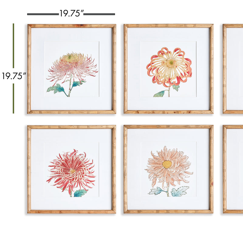 NAPA Home & Garden, COLORFUL CHRYSANTHEMUM PRINTS, SET OF 6,N3NH43