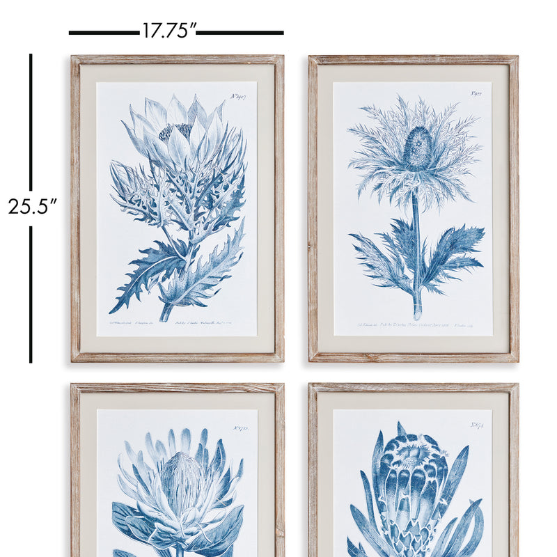 NAPA Home & Garden, INDIGO PROTEA PRINTS, SET OF 4,N3NH49