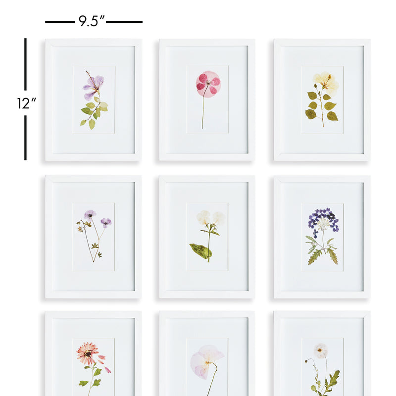 NAPA Home & Garden, MOUNTAIN FLOWER PETITE PRINTS, SET OF 9,N3NH54